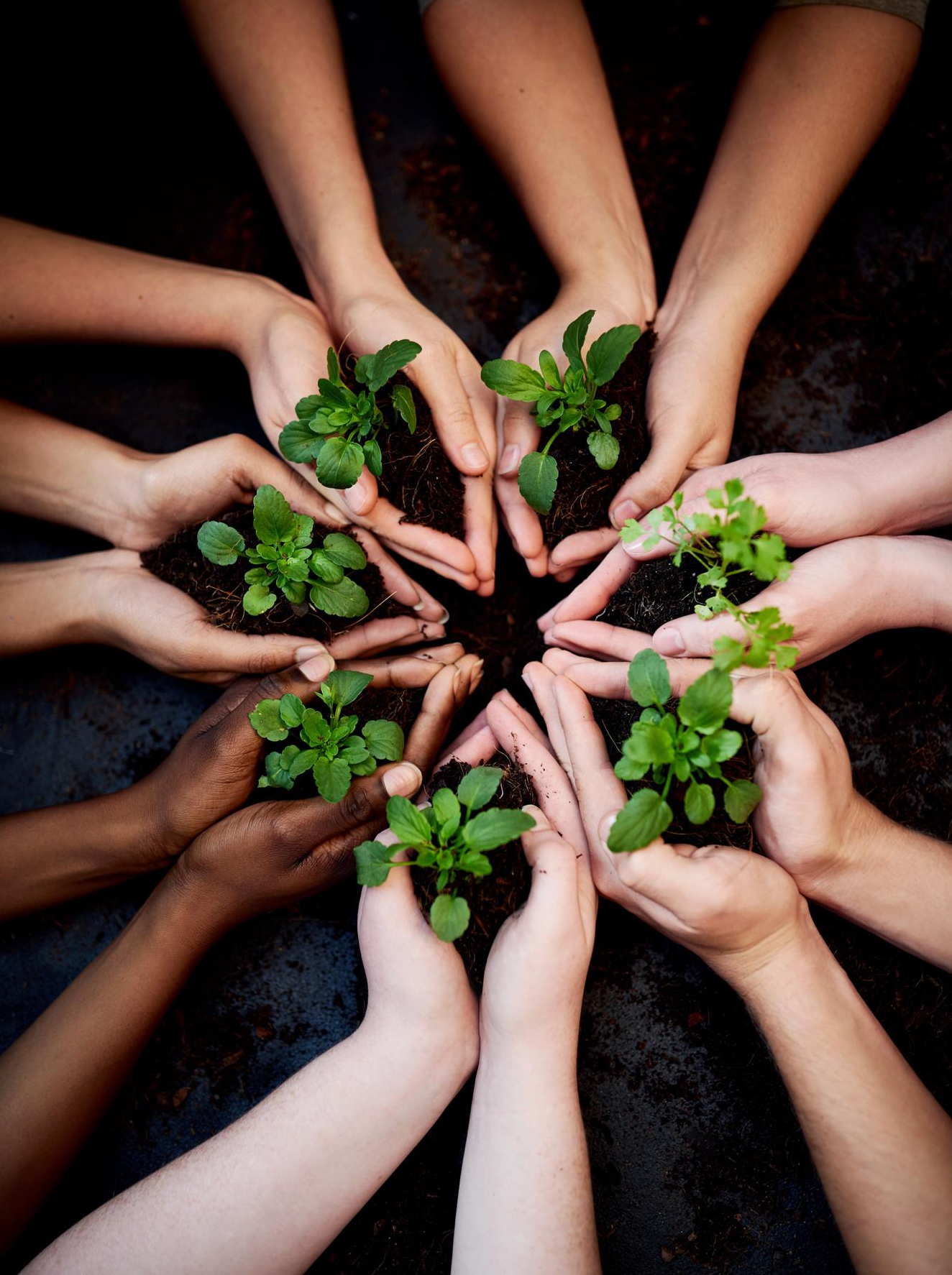 Crecimiento personal para un impacto positivo